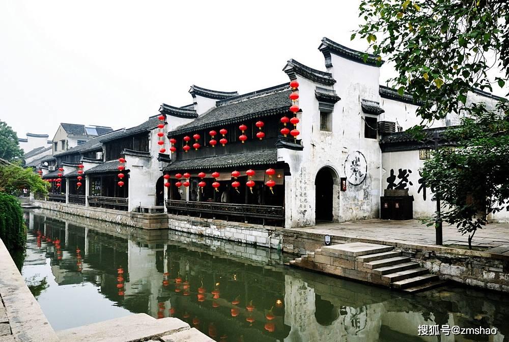 垂盆草可以水养吗？游戏画面